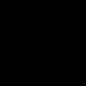 Meet your Posher, Ellen